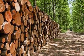 Logs